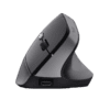 Rato vertical TRUST BAYO II Ergonomico Wireless