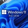 Software Microsoft Windows 11 Profissional PT.